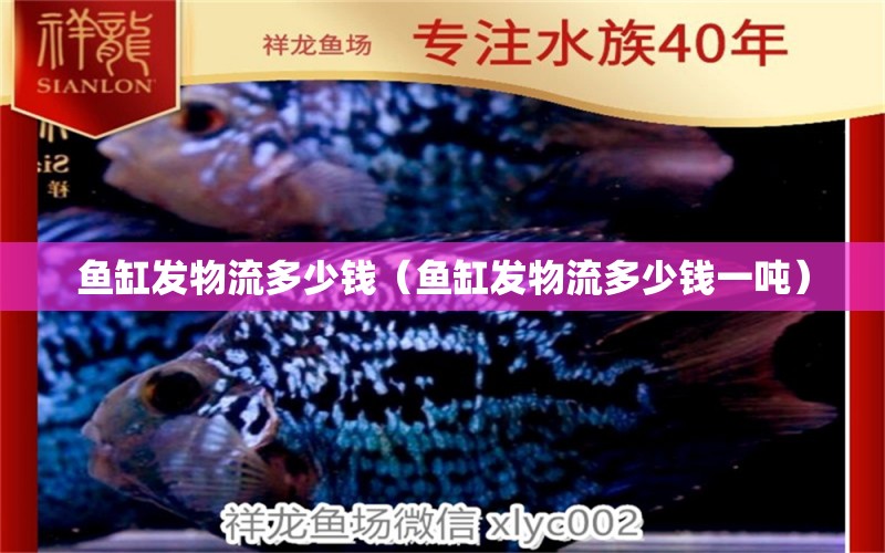 鱼缸发物流多少钱（鱼缸发物流多少钱一吨） 祥龙水族医院