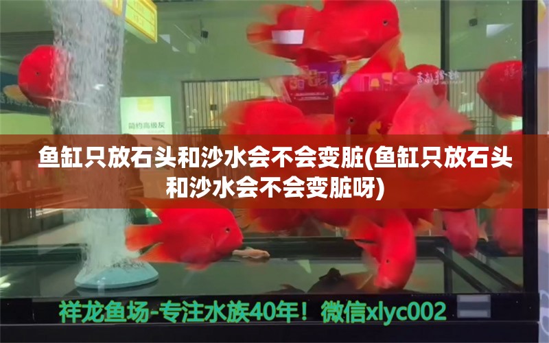 鱼缸只放石头和沙水会不会变脏(鱼缸只放石头和沙水会不会变脏呀)