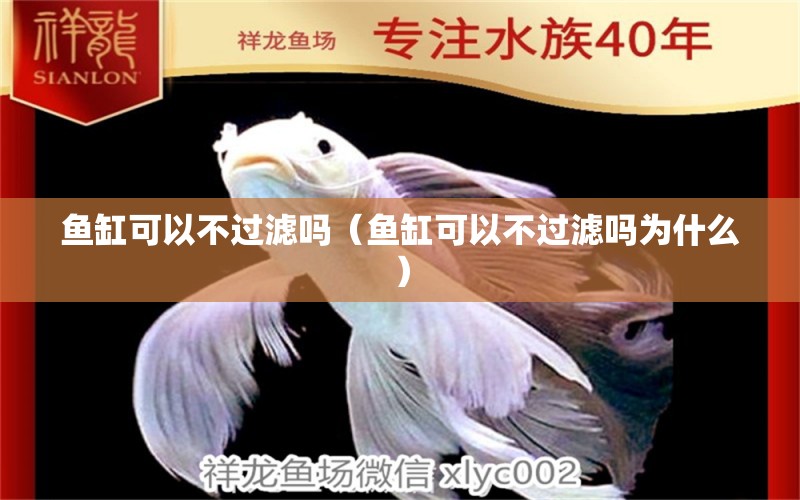 鱼缸可以不过滤吗（鱼缸可以不过滤吗为什么） 祥龙水族医院