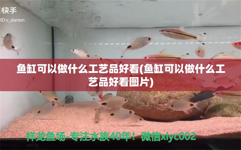 鱼缸可以做什么工艺品好看(鱼缸可以做什么工艺品好看图片) 水族灯（鱼缸灯）