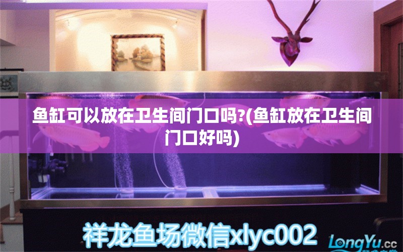 鱼缸可以放在卫生间门口吗?(鱼缸放在卫生间门口好吗)