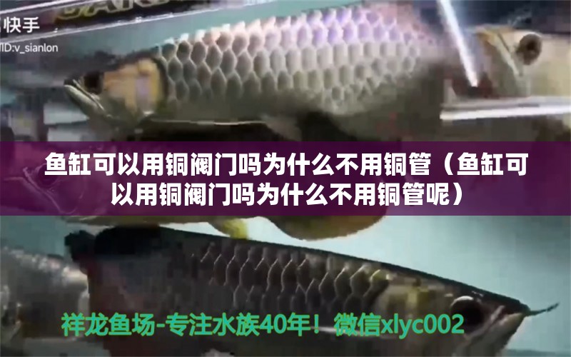 鱼缸可以用铜阀门吗为什么不用铜管（鱼缸可以用铜阀门吗为什么不用铜管呢）