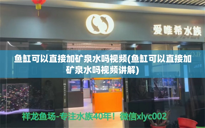 鱼缸可以直接加矿泉水吗视频(鱼缸可以直接加矿泉水吗视频讲解) 祥龙金禾金龙鱼