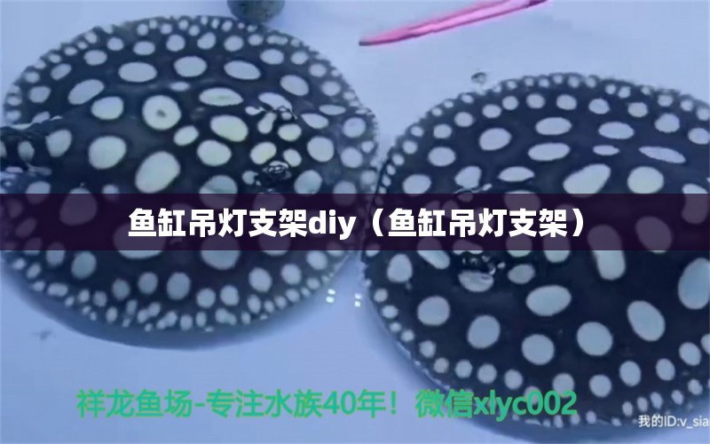 鱼缸吊灯支架diy（鱼缸吊灯支架）