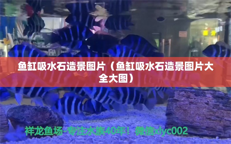 鱼缸吸水石造景图片（鱼缸吸水石造景图片大全大图）