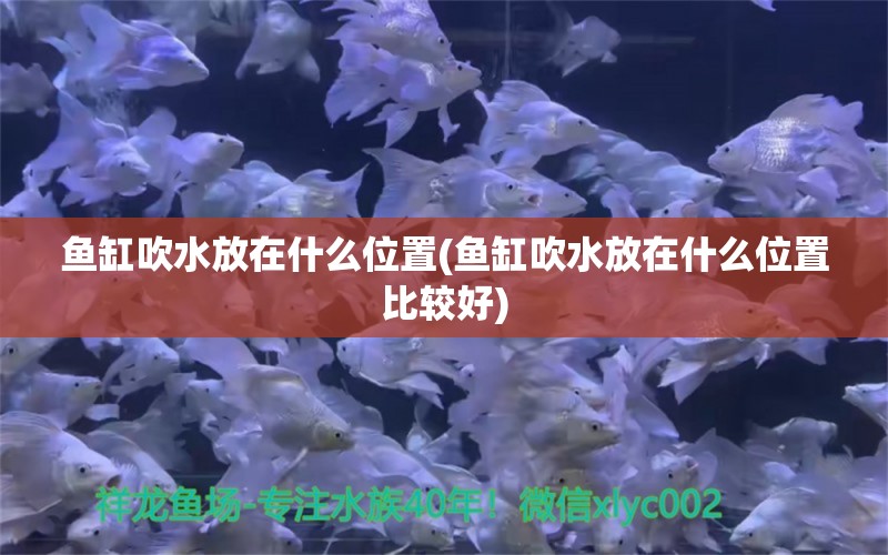 鱼缸吹水放在什么位置(鱼缸吹水放在什么位置比较好)