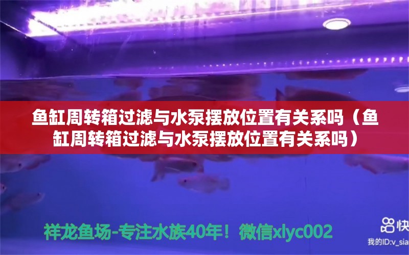 鱼缸周转箱过滤与水泵摆放位置有关系吗（鱼缸周转箱过滤与水泵摆放位置有关系吗）