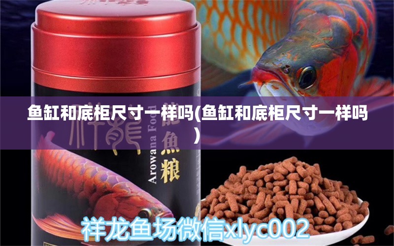 鱼缸和底柜尺寸一样吗(鱼缸和底柜尺寸一样吗) 黑白双星鱼