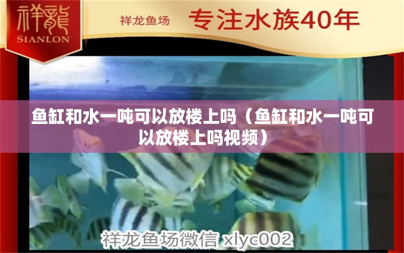 鱼缸和水一吨可以放楼上吗（鱼缸和水一吨可以放楼上吗视频） 其他品牌鱼缸