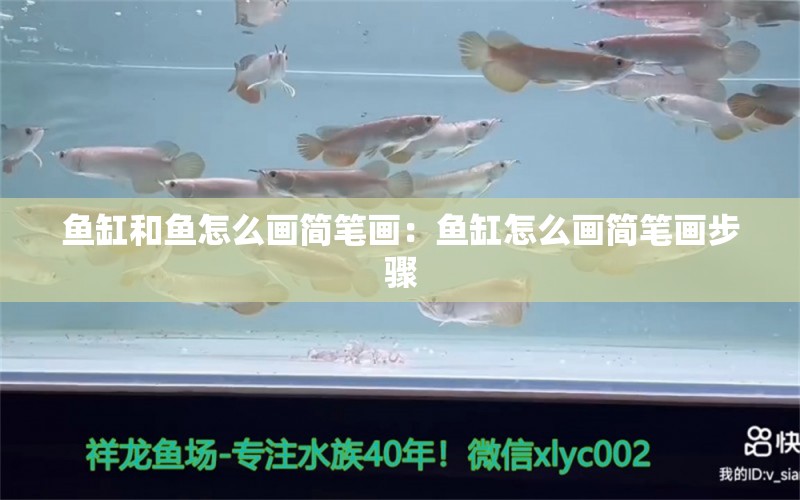 鱼缸和鱼怎么画简笔画：鱼缸怎么画简笔画步骤 养鱼的好处