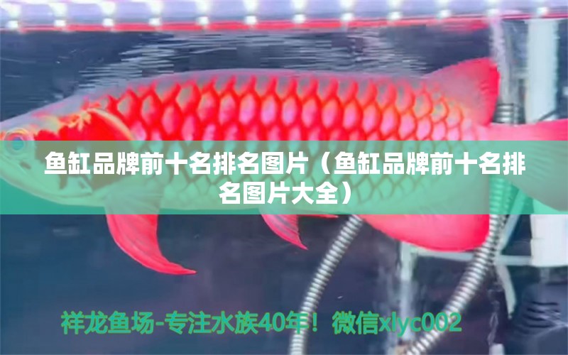 鱼缸品牌前十名排名图片（鱼缸品牌前十名排名图片大全）