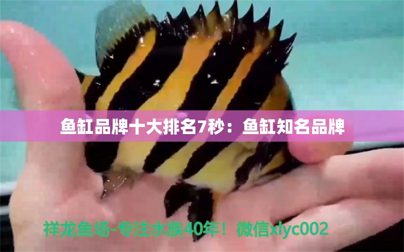 鱼缸品牌十大排名7秒：鱼缸知名品牌 水族维护服务（上门）