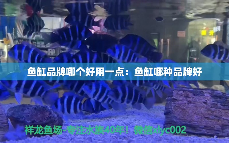 鱼缸品牌哪个好用一点：鱼缸哪种品牌好 广州龙鱼批发市场