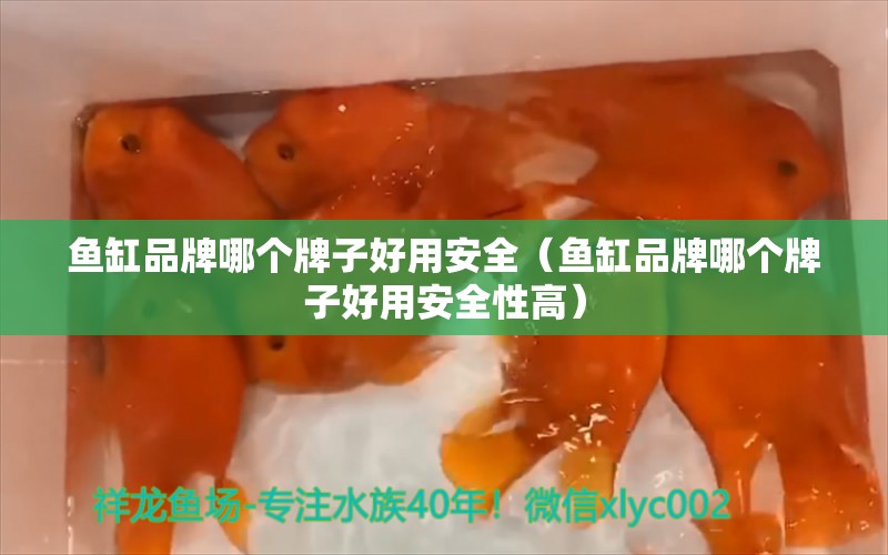 鱼缸品牌哪个牌子好用安全（鱼缸品牌哪个牌子好用安全性高） 祥龙鱼场