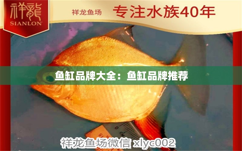 鱼缸品牌大全：鱼缸品牌推荐 广州龙鱼批发市场