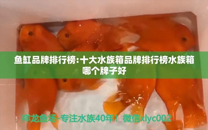 鱼缸品牌排行榜:十大水族箱品牌排行榜水族箱哪个牌子好