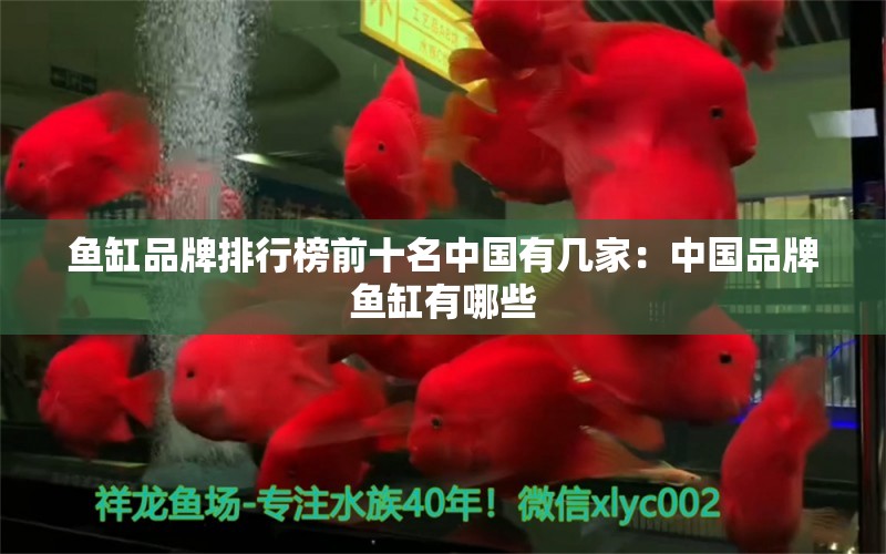 鱼缸品牌排行榜前十名中国有几家：中国品牌鱼缸有哪些