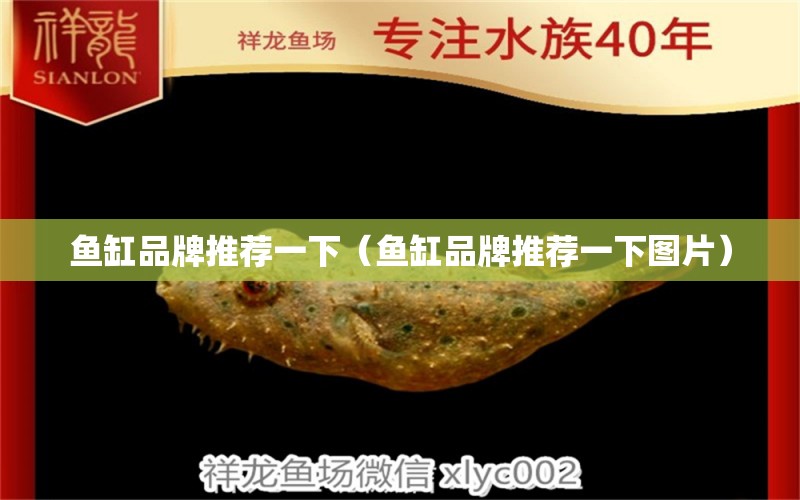 鱼缸品牌推荐一下（鱼缸品牌推荐一下图片） 其他品牌鱼缸