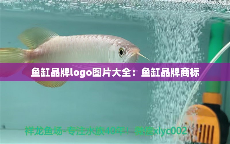 鱼缸品牌logo图片大全：鱼缸品牌商标