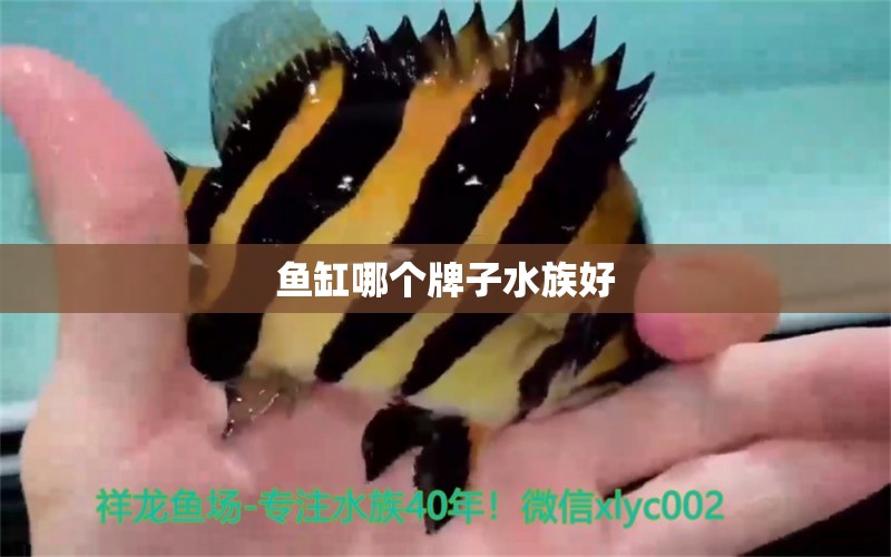 鱼缸哪个牌子水族好 其它水族用具设备