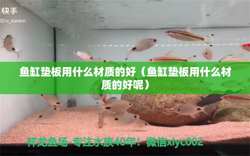 鱼缸垫板用什么材质的好（鱼缸垫板用什么材质的好呢）