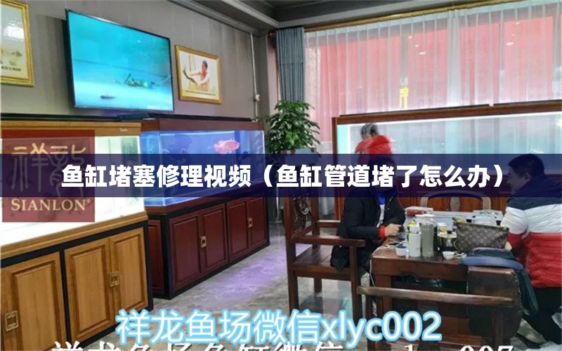 鱼缸堵塞修理视频（鱼缸管道堵了怎么办） 广州观赏鱼批发市场