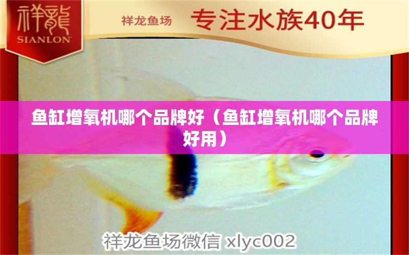 鱼缸增氧机哪个品牌好（鱼缸增氧机哪个品牌好用） 观赏鱼市场（混养鱼）