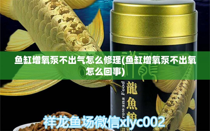 鱼缸增氧泵不出气怎么修理(鱼缸增氧泵不出氧怎么回事)