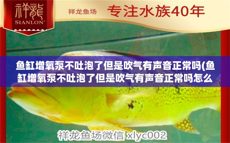 鱼缸增氧泵不吐泡了但是吹气有声音正常吗(鱼缸增氧泵不吐泡了但是吹气有声音正常吗怎么回事) 恐龙王鱼