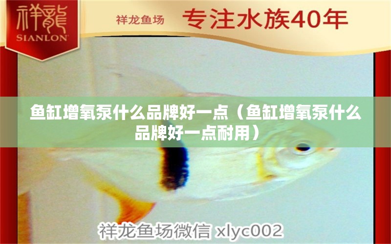 鱼缸增氧泵什么品牌好一点（鱼缸增氧泵什么品牌好一点耐用）