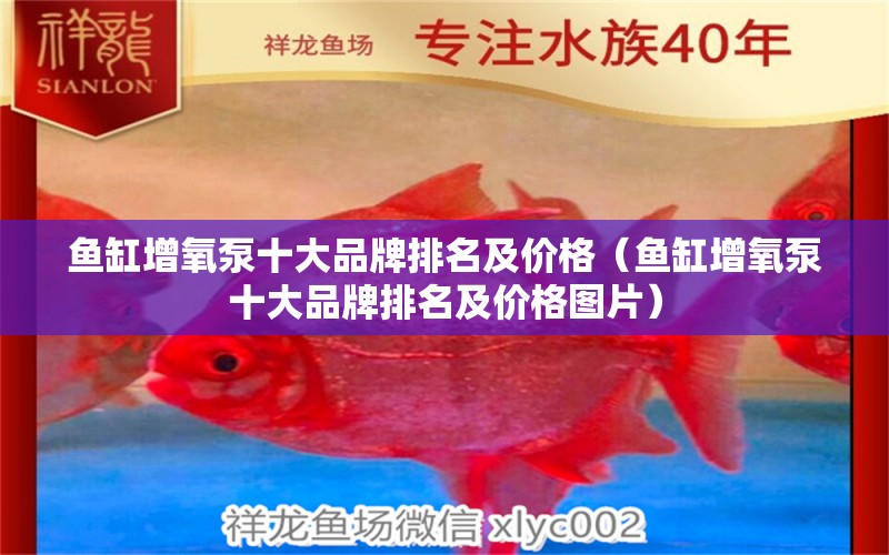 鱼缸增氧泵十大品牌排名及价格（鱼缸增氧泵十大品牌排名及价格图片）