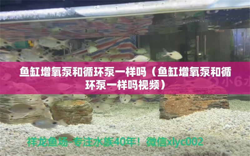 鱼缸增氧泵和循环泵一样吗（鱼缸增氧泵和循环泵一样吗视频）