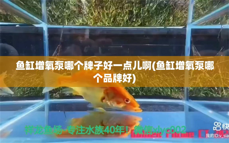 鱼缸增氧泵哪个牌子好一点儿啊(鱼缸增氧泵哪个品牌好)