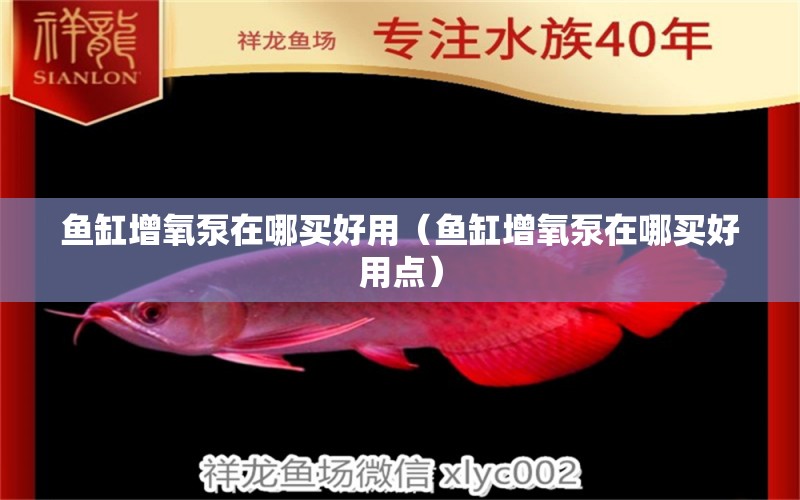 鱼缸增氧泵在哪买好用（鱼缸增氧泵在哪买好用点） 祥龙水族医院