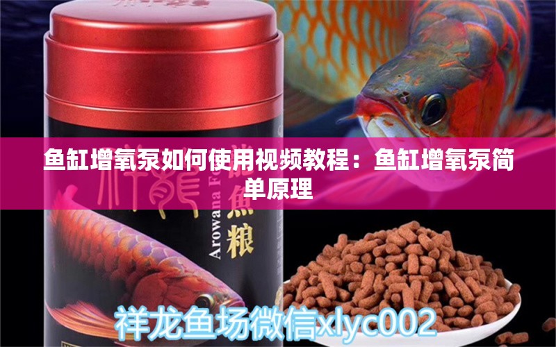 鱼缸增氧泵如何使用视频教程：鱼缸增氧泵简单原理 广州水族批发市场 第1张