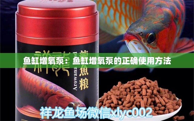 鱼缸增氧泵：鱼缸增氧泵的正确使用方法 月光鸭嘴鱼苗