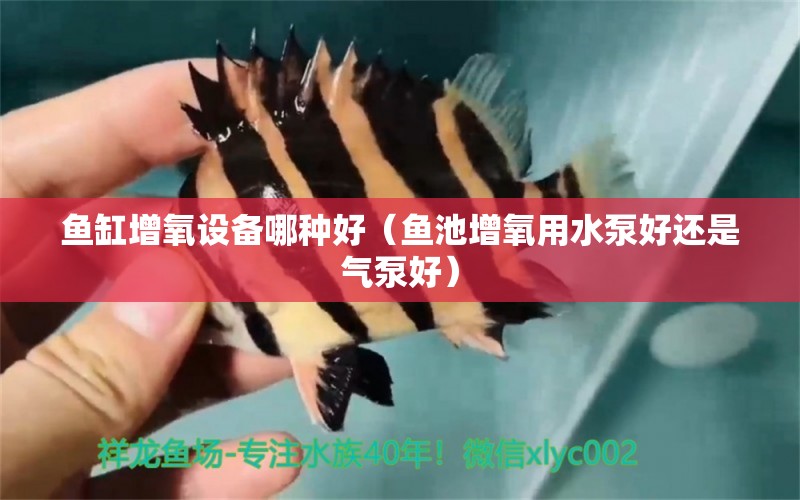 鱼缸增氧设备哪种好（鱼池增氧用水泵好还是气泵好） 全国水族馆企业名录 第2张