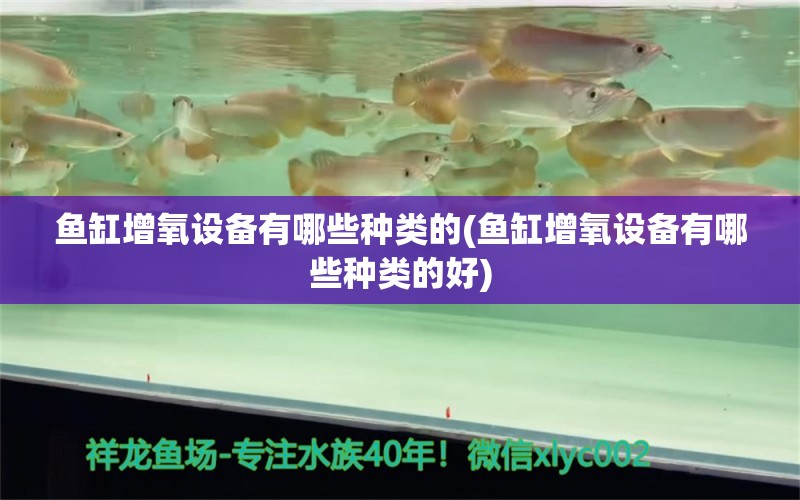 鱼缸增氧设备有哪些种类的(鱼缸增氧设备有哪些种类的好) 黄金斑马鱼