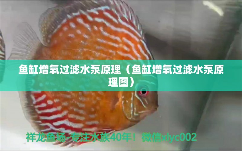 鱼缸增氧过滤水泵原理（鱼缸增氧过滤水泵原理图）