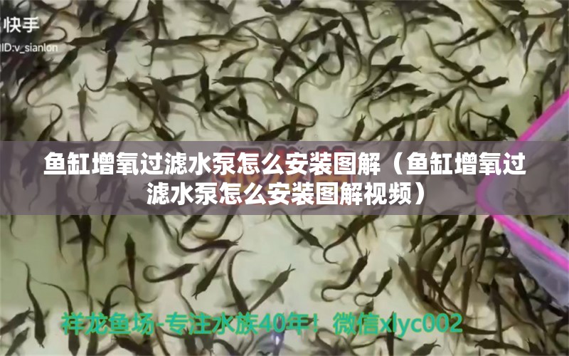 鱼缸增氧过滤水泵怎么安装图解（鱼缸增氧过滤水泵怎么安装图解视频）