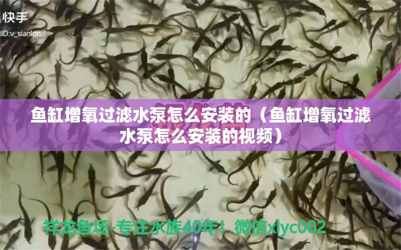 鱼缸增氧过滤水泵怎么安装的（鱼缸增氧过滤水泵怎么安装的视频）