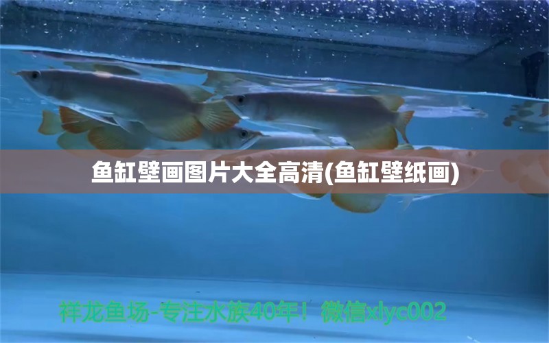 鱼缸壁画图片大全高清(鱼缸壁纸画) 水族杂谈