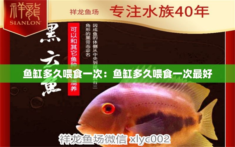 鱼缸多久喂食一次：鱼缸多久喂食一次最好 广州水族批发市场 第1张