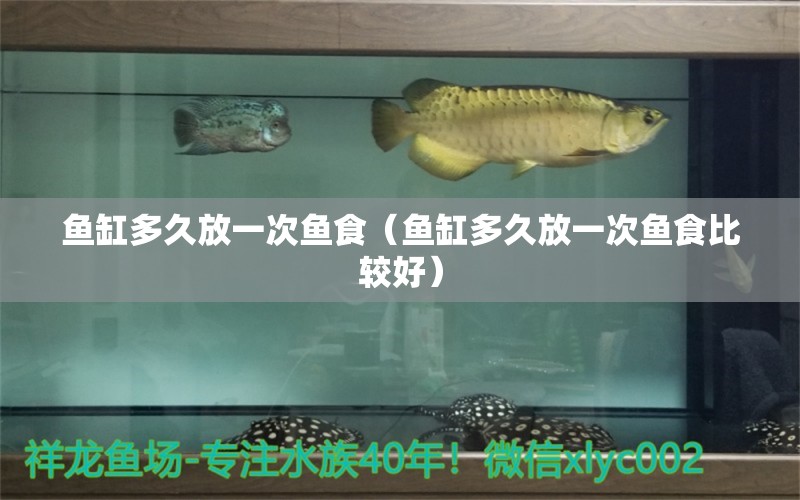 鱼缸多久放一次鱼食（鱼缸多久放一次鱼食比较好） 祥龙水族医院