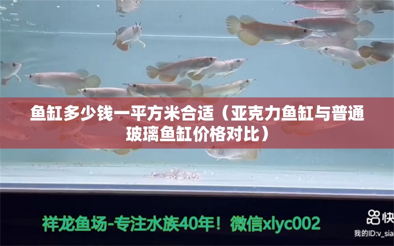 鱼缸多少钱一平方米合适（亚克力鱼缸与普通玻璃鱼缸价格对比） 龙鱼百科 第1张