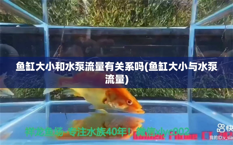 鱼缸大小和水泵流量有关系吗(鱼缸大小与水泵流量)