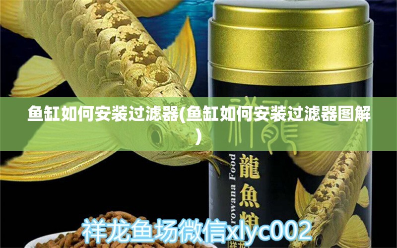 鱼缸如何安装过滤器(鱼缸如何安装过滤器图解)