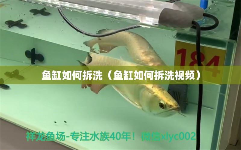 鱼缸如何拆洗（鱼缸如何拆洗视频） 祥龙水族医院