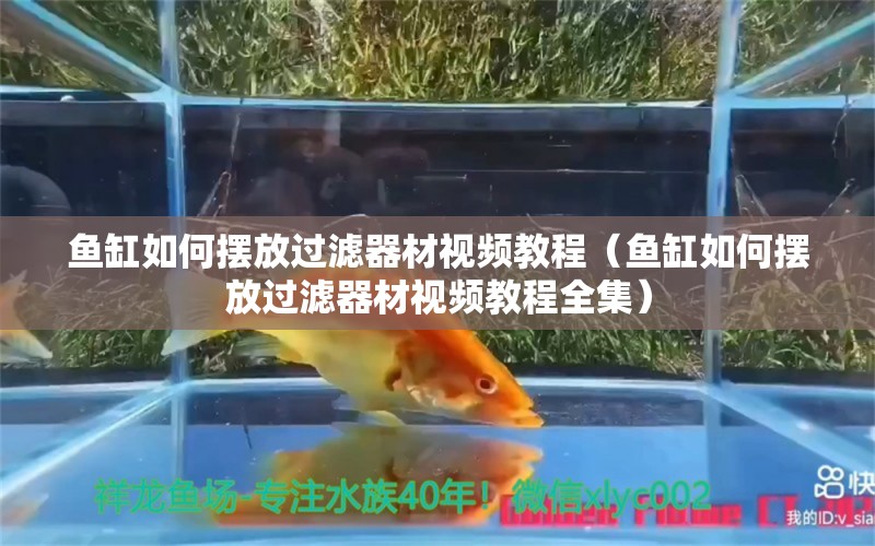 鱼缸如何摆放过滤器材视频教程（鱼缸如何摆放过滤器材视频教程全集）