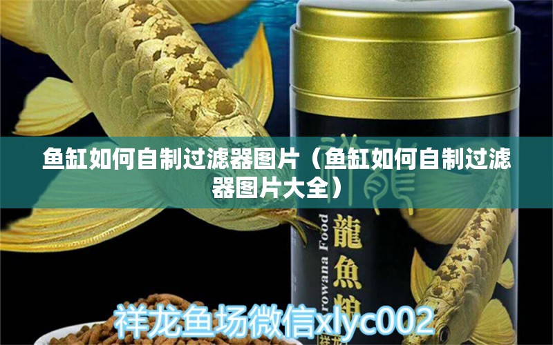 鱼缸如何自制过滤器图片（鱼缸如何自制过滤器图片大全） 量子养鱼技术